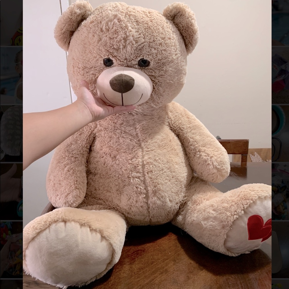 BIG BIG Bear